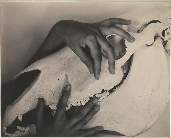 Georgia O'Keeffe—Hands and Horse Skull, Alfred Stieglitz (American, Hoboken, New Jersey 1864–1946 New York), Gelatin silver print 