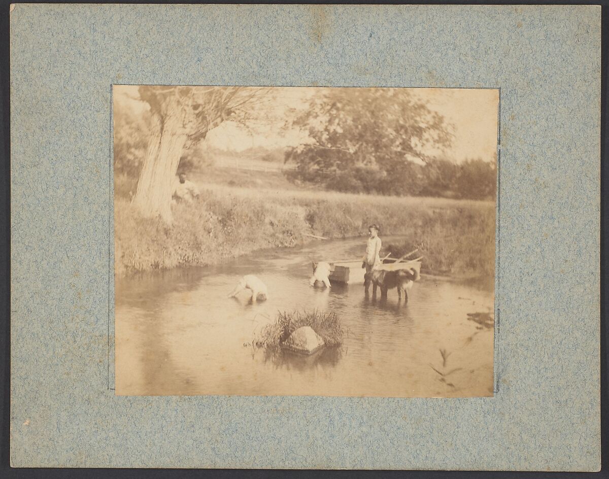 [Three Children and a Dog Playing in the Creek, July 4, 1883], Thomas Eakins (American, Philadelphia, Pennsylvania 1844–1916 Philadelphia, Pennsylvania), Albumen silver print  