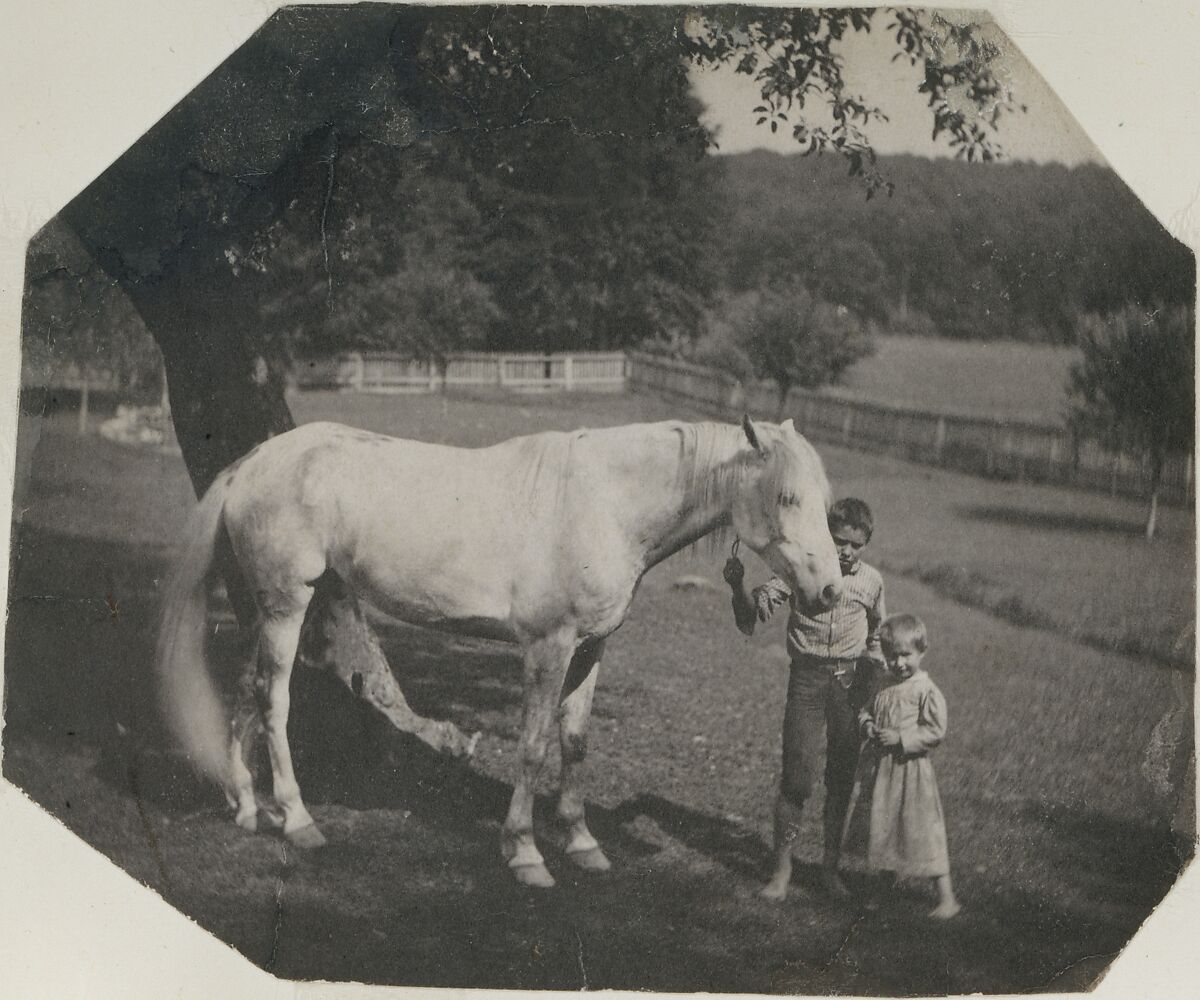[Thomas Eakins's Horse Billy and Two Crowell Children at Avondale, Pennsylvania], Thomas Eakins (American, Philadelphia, Pennsylvania 1844–1916 Philadelphia, Pennsylvania), Platinum print  