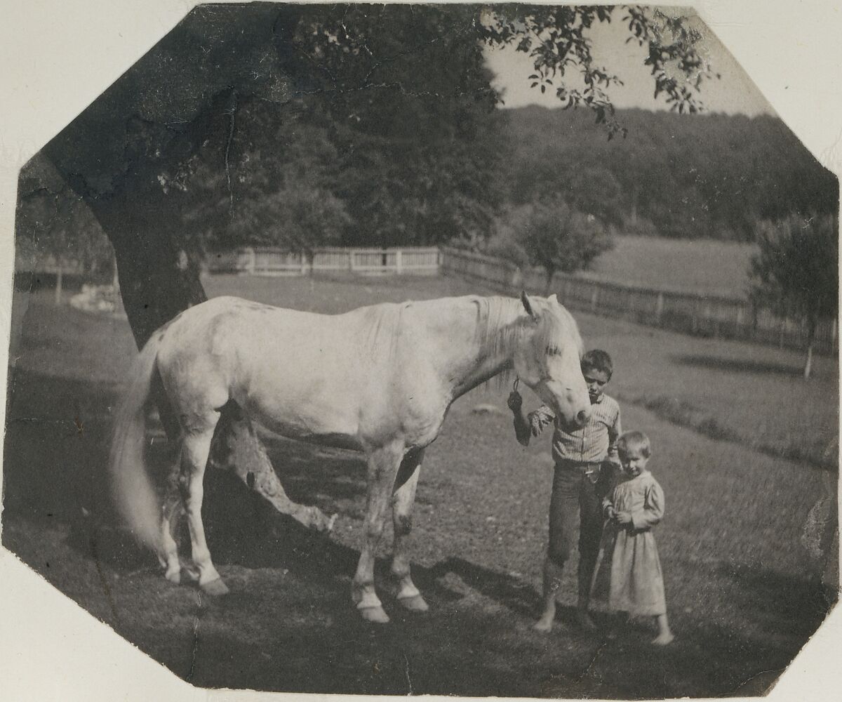 Thomas Eakins Thomas Eakinss Horse Billy And Two Crowell Children