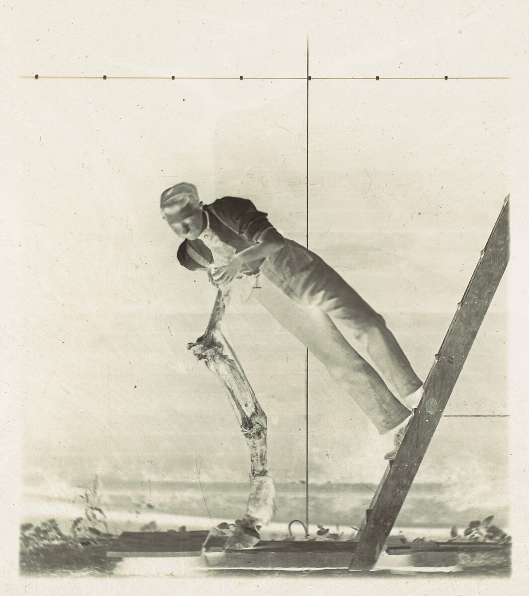 [Man on a Ladder with Disected Horse's Leg], Thomas Eakins (American, Philadelphia, Pennsylvania 1844–1916 Philadelphia, Pennsylvania), Glass negative 