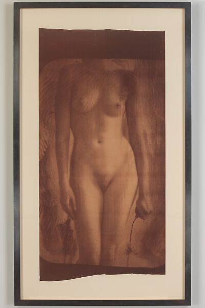 Untitled, Francesca Woodman (American, Denver, Colorado 1958–1981 New York), Diazotype