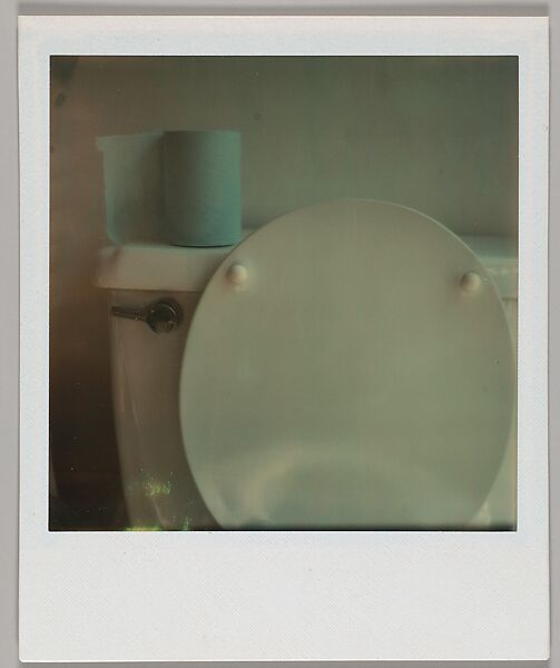 [Toilet], Walker Evans (American, St. Louis, Missouri 1903–1975 New Haven, Connecticut), Instant internal dye diffusion transfer print (Polaroid SX-70) 