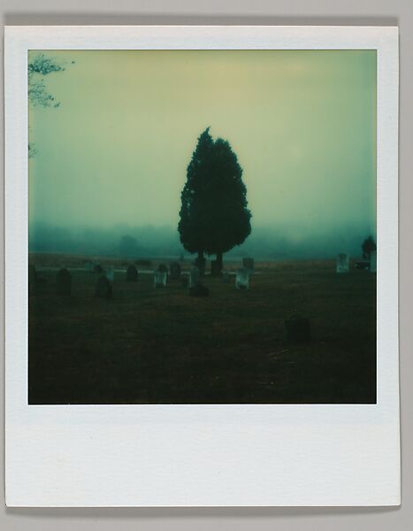 [Misty Cemetery View], Walker Evans (American, St. Louis, Missouri 1903–1975 New Haven, Connecticut), Instant internal dye diffusion transfer print (Polaroid SX-70) 