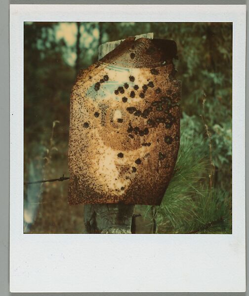 [Topp's Snuff Sign, Alabama], Walker Evans (American, St. Louis, Missouri 1903–1975 New Haven, Connecticut), Instant internal dye diffusion transfer print (Polaroid SX-70) 