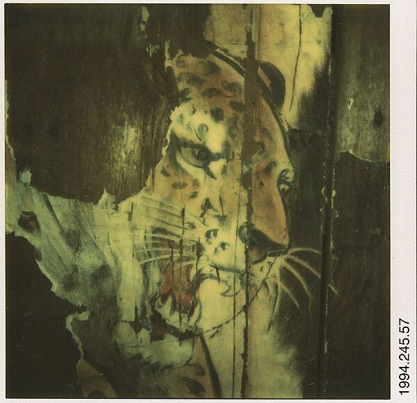 [Detail of Torn Circus Poster (Leopard)], Walker Evans (American, St. Louis, Missouri 1903–1975 New Haven, Connecticut), Instant internal dye diffusion transfer print (Polaroid SX-70)
