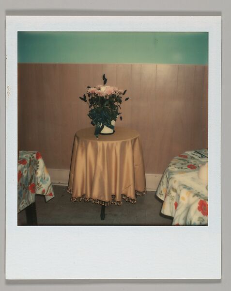 [Floral Still-Life on Tabletop], Walker Evans (American, St. Louis, Missouri 1903–1975 New Haven, Connecticut), Instant internal dye diffusion transfer print (Polaroid SX-70) 