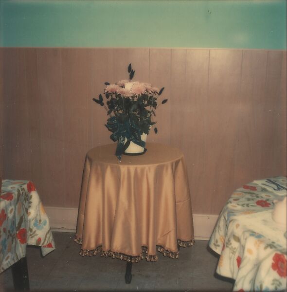 [Floral Still-Life on Tabletop], Walker Evans (American, St. Louis, Missouri 1903–1975 New Haven, Connecticut), Instant internal dye diffusion transfer print (Polaroid SX-70)