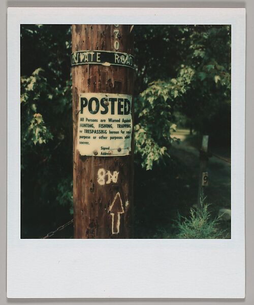 [Signs Posted on Telephone Pole], Walker Evans (American, St. Louis, Missouri 1903–1975 New Haven, Connecticut), Instant internal dye diffusion transfer print (Polaroid SX-70) 