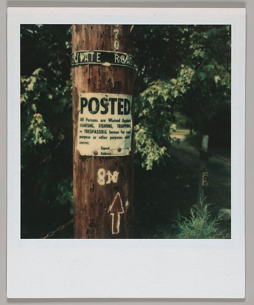[Signs Posted on Telephone Pole], Walker Evans (American, St. Louis, Missouri 1903–1975 New Haven, Connecticut), Instant internal dye diffusion transfer print (Polaroid SX-70)