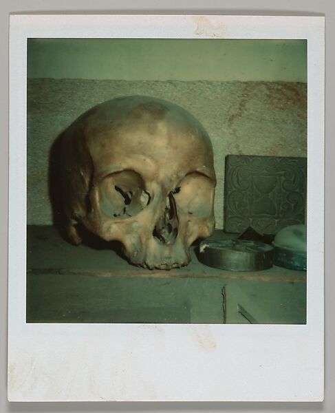 [Skull], Walker Evans (American, St. Louis, Missouri 1903–1975 New Haven, Connecticut), Instant internal dye diffusion transfer print (Polaroid SX-70) 