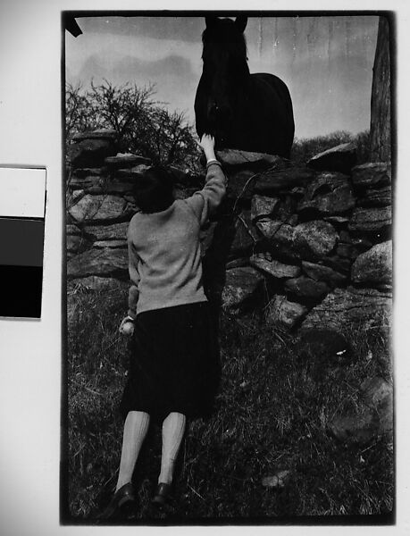 [Woman in Sweater and Horn-Rimmed Glasses, Petting Horse], Walker Evans (American, St. Louis, Missouri 1903–1975 New Haven, Connecticut), Film negative 