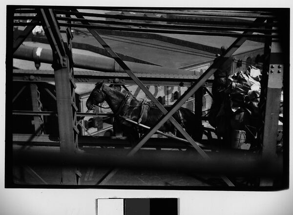 [Horse-Drawn Cart Through Trussing on Brooklyn Bridge, New York City], Walker Evans (American, St. Louis, Missouri 1903–1975 New Haven, Connecticut), Film negative 