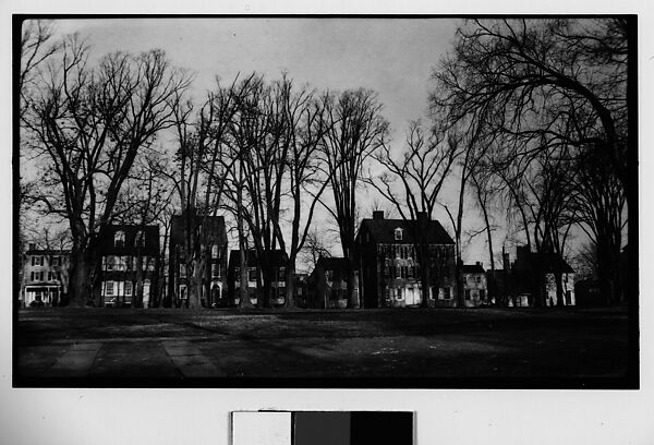 [Row of Houses on Tree-Lined Street, Seen from Across Park, Possibly Newcastle, Delaware], Walker Evans (American, St. Louis, Missouri 1903–1975 New Haven, Connecticut), Film negative 