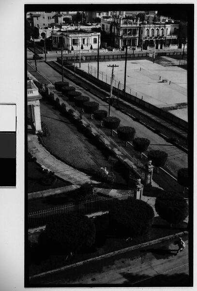 [Street with Topiaries, From Elevated Position, Havana], Walker Evans (American, St. Louis, Missouri 1903–1975 New Haven, Connecticut), Film negative 