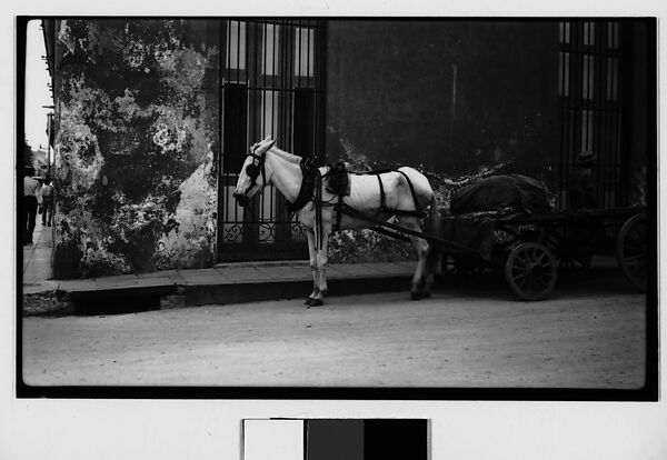[Horse-Drawn Flatbed Cart, Havana], Walker Evans (American, St. Louis, Missouri 1903–1975 New Haven, Connecticut), Film negative 