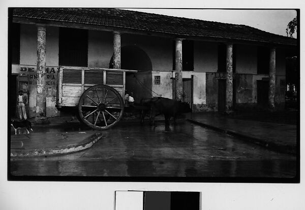 [Oxen-Drawn Cart, Havana], Walker Evans (American, St. Louis, Missouri 1903–1975 New Haven, Connecticut), Film negative 