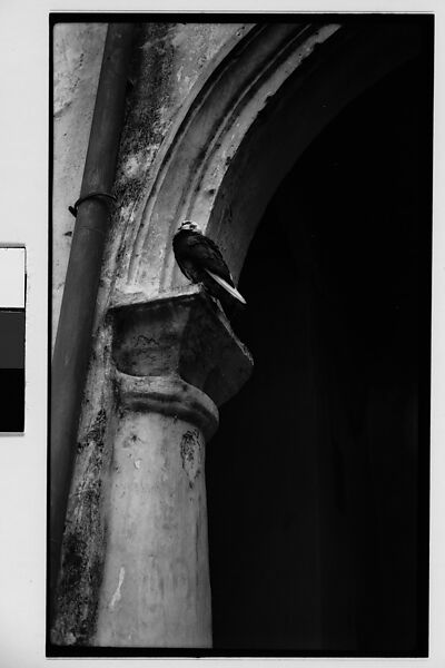 [Bird Perched on Doorway Capital, Havana?, Cuba], Walker Evans (American, St. Louis, Missouri 1903–1975 New Haven, Connecticut), Film negative 