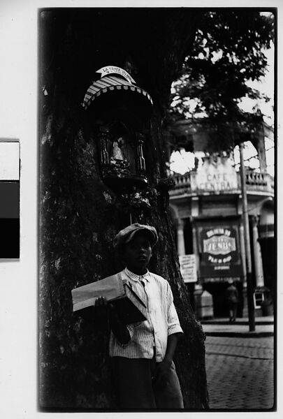 [Boy in Cap Underneath Tree, Havana], Walker Evans (American, St. Louis, Missouri 1903–1975 New Haven, Connecticut), Film negative 