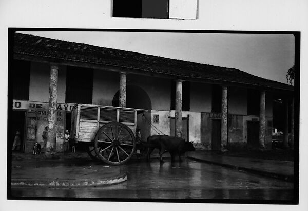 [Oxen-Drawn Covered Cart in Village, Cuba], Walker Evans (American, St. Louis, Missouri 1903–1975 New Haven, Connecticut), Film negative 