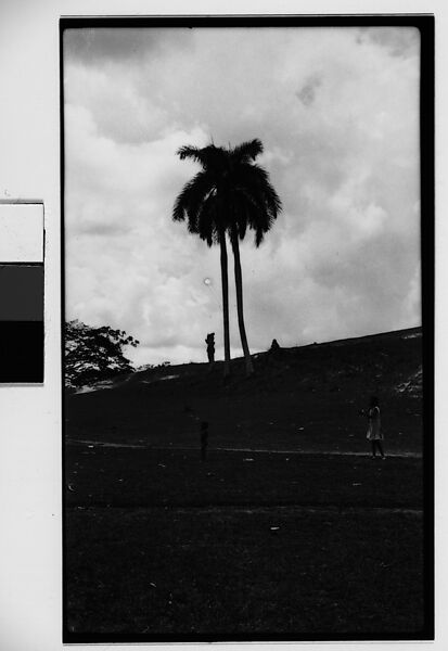 [Children on Hillside, Cuba], Walker Evans (American, St. Louis, Missouri 1903–1975 New Haven, Connecticut), Film negative 