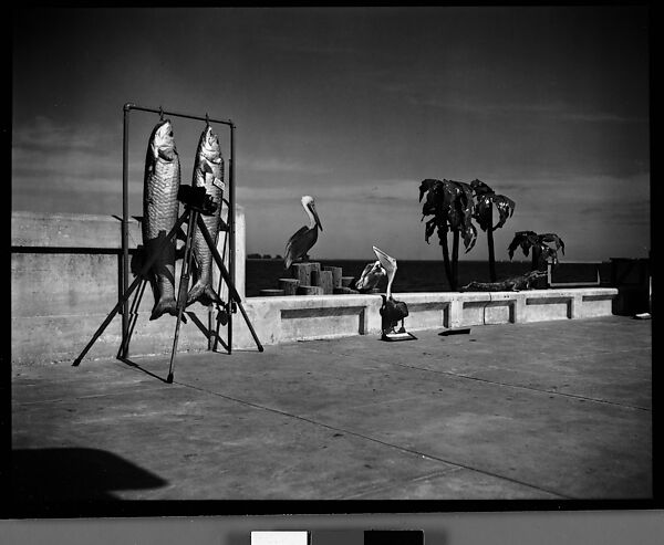 [Resort Photographer's Props and Camera, Florida], Walker Evans (American, St. Louis, Missouri 1903–1975 New Haven, Connecticut), Film negative 
