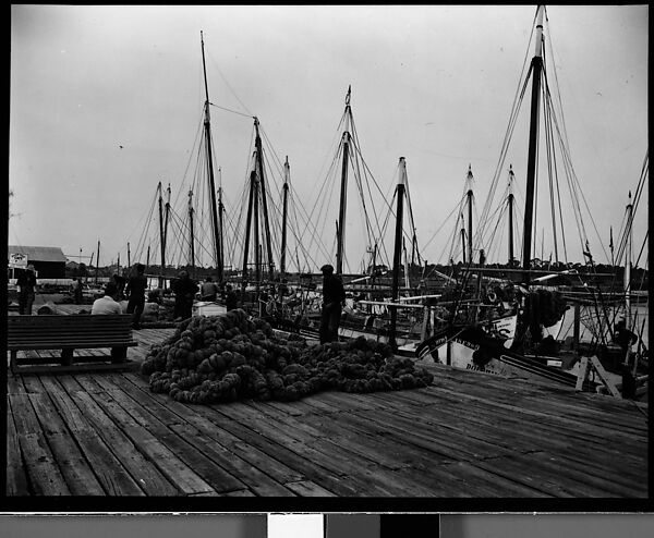 [Sponges on Wharf, Tarpon Springs, Florida], Walker Evans (American, St. Louis, Missouri 1903–1975 New Haven, Connecticut), Film negative 