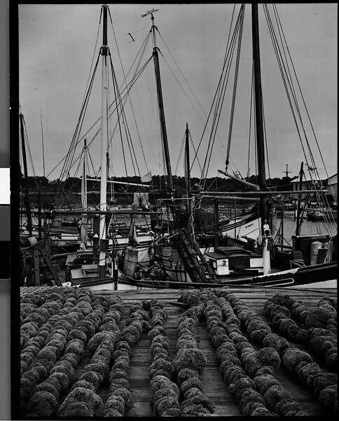 [Sponges on Wharf, Tarpon Springs, Florida], Walker Evans (American, St. Louis, Missouri 1903–1975 New Haven, Connecticut), Film negative 
