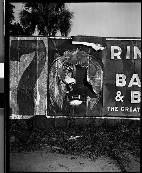 [Torn Ringling Brothers Circus Poster, Florida], Walker Evans (American, St. Louis, Missouri 1903–1975 New Haven, Connecticut), Film negative 