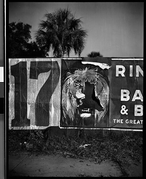[Torn Ringling Brothers Circus Poster, Florida], Walker Evans (American, St. Louis, Missouri 1903–1975 New Haven, Connecticut), Film negative 