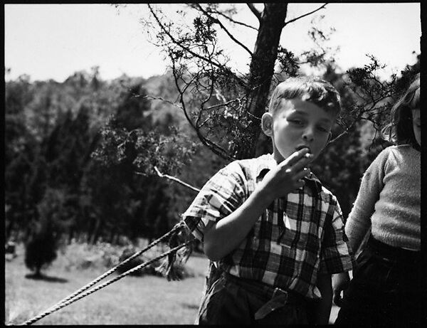 [Robert Workum, Bedford Village, New York], Walker Evans (American, St. Louis, Missouri 1903–1975 New Haven, Connecticut), Film negative 