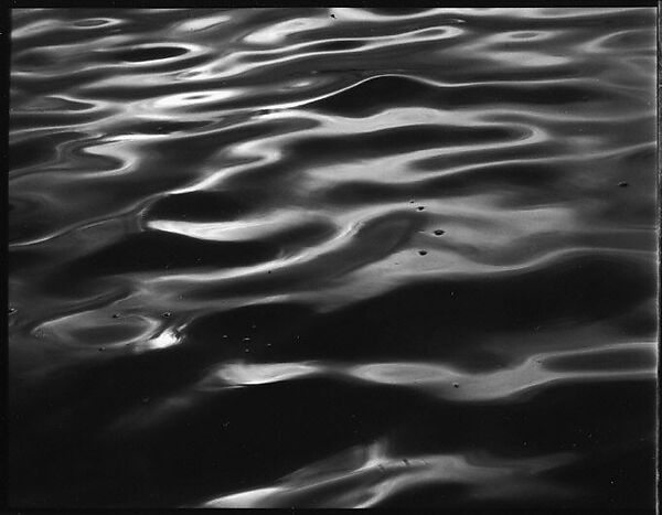 [Water, From Dayboat in Everglades, Florida], Walker Evans (American, St. Louis, Missouri 1903–1975 New Haven, Connecticut), Film negative 