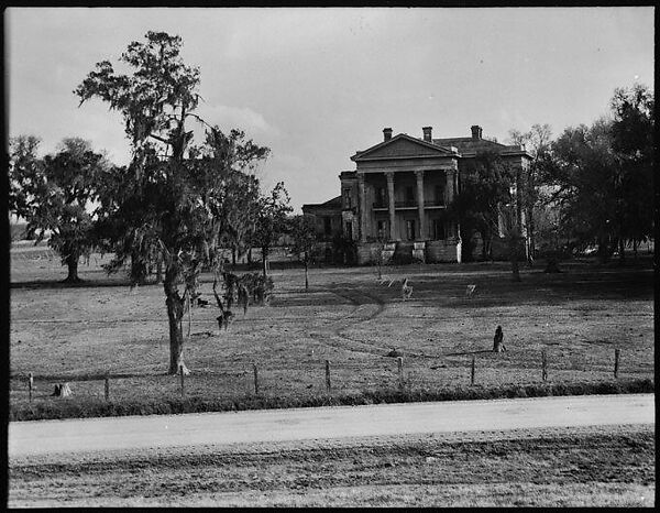 [Belle Grove Plantation, White Castle, Louisiana], Walker Evans (American, St. Louis, Missouri 1903–1975 New Haven, Connecticut), Film negative 