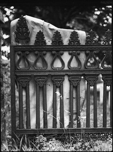[Cast-Iron Fence Detail, New Orleans, Louisiana], Walker Evans (American, St. Louis, Missouri 1903–1975 New Haven, Connecticut), Film negative 