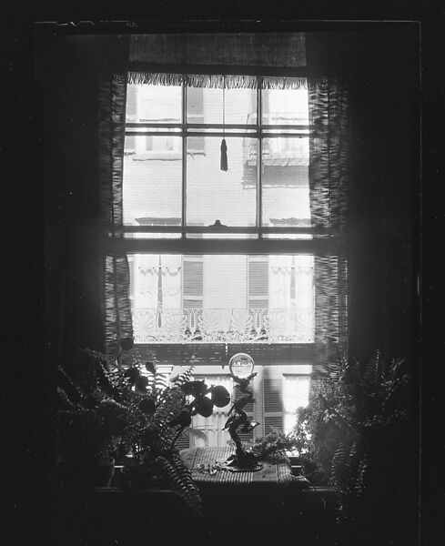 [Crystal Ball and Ferns on Window Ledge, West Cedar Street, Boston, Massachusetts], Walker Evans (American, St. Louis, Missouri 1903–1975 New Haven, Connecticut), Film negative 