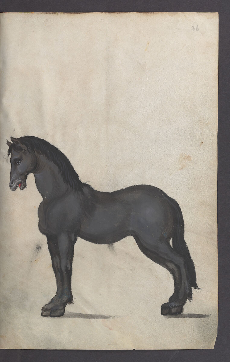 Illustrated Manuscript Inventory of an Armory for Sale by Lottery, Vellum, German