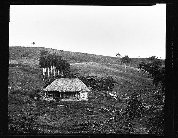 [Thatched Roof House on Hillside, Cuba], Walker Evans (American, St. Louis, Missouri 1903–1975 New Haven, Connecticut), Film negative 