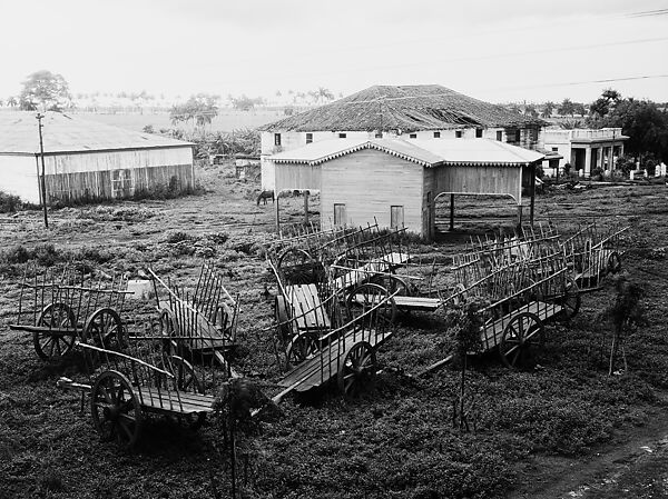 [Wagons and Farm Buildings of Sugar Plantation, Cuba], Walker Evans (American, St. Louis, Missouri 1903–1975 New Haven, Connecticut), Film negative 