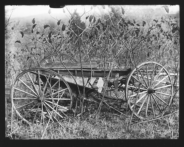 [Abandoned Wagon in Weeds, Somerstown Road, Ossining, New York], Walker Evans (American, St. Louis, Missouri 1903–1975 New Haven, Connecticut), Glass negative 