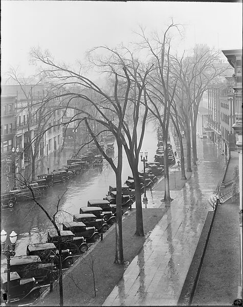 [Parked Cars and Elm Trees Along Broadway, From High Elevation, Saratoga Springs, New York], Walker Evans (American, St. Louis, Missouri 1903–1975 New Haven, Connecticut), Glass negative 