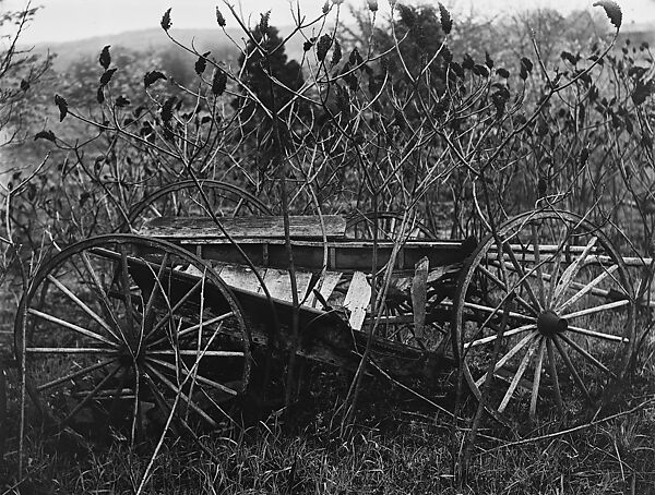 [Abandoned Wagon in Weeds, Somerstown Road, Ossining, New York], Walker Evans (American, St. Louis, Missouri 1903–1975 New Haven, Connecticut), Glass negative 