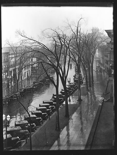 [Parked Cars and Elm Trees on Broadway, From High Elevation, Saratoga Springs, New York], Walker Evans (American, St. Louis, Missouri 1903–1975 New Haven, Connecticut), Glass negative 
