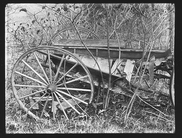 [Abandoned Wagon in Weeds, Somerstown Road, Ossining, New York], Walker Evans (American, St. Louis, Missouri 1903–1975 New Haven, Connecticut), Glass negative 