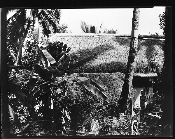 [South Seas: Thatched Roof House, Behind Trees and Foliage], Walker Evans (American, St. Louis, Missouri 1903–1975 New Haven, Connecticut), Film negative 
