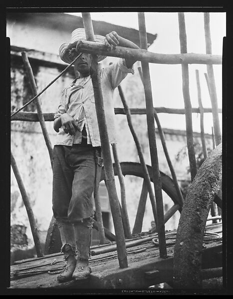 [Man Standing on Flatbed of Wagon, Cuba], Walker Evans (American, St. Louis, Missouri 1903–1975 New Haven, Connecticut), Film negative 