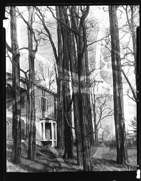 [Corner of Greek Revival House, Seen Through Trees], Walker Evans (American, St. Louis, Missouri 1903–1975 New Haven, Connecticut), Film negative 