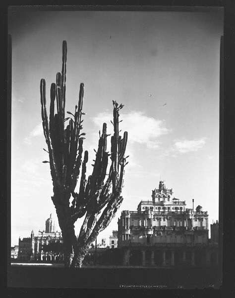 [View of Palacio Presidencial and Casa de Velasco with Cactus in Foreground, Cuba], Walker Evans (American, St. Louis, Missouri 1903–1975 New Haven, Connecticut), Film negative 