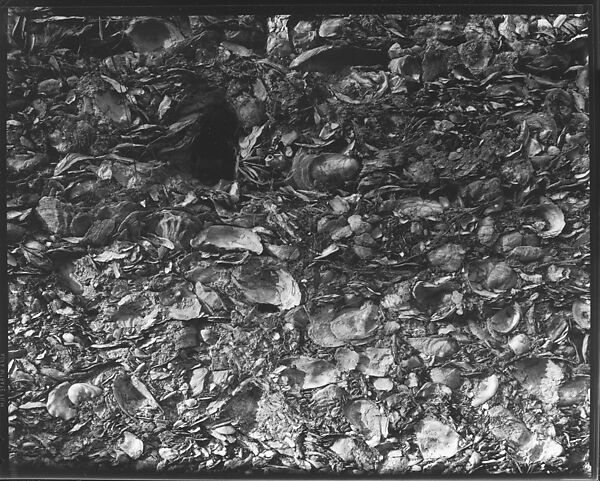 [Tabby Shell Construction Detail, St. Mary's, Georgia], Walker Evans (American, St. Louis, Missouri 1903–1975 New Haven, Connecticut), Film negative 