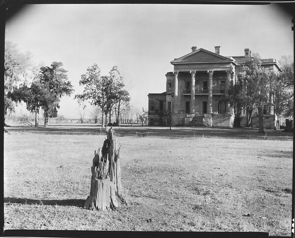 [Belle Grove Plantation with Tree Stump in Foreground, From Across Lawn, Louisiana], Walker Evans (American, St. Louis, Missouri 1903–1975 New Haven, Connecticut), Film negative 