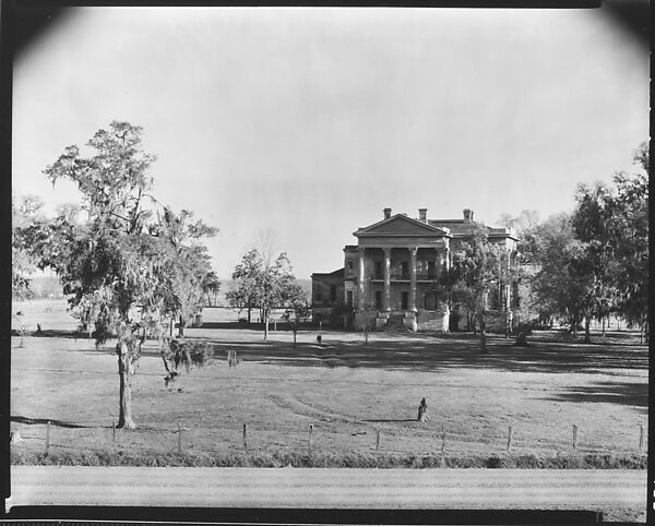 [Belle Grove Plantation, From Across Lawn, White Castle, Louisiana], Walker Evans (American, St. Louis, Missouri 1903–1975 New Haven, Connecticut), Film negative 